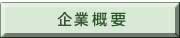 ЊTv